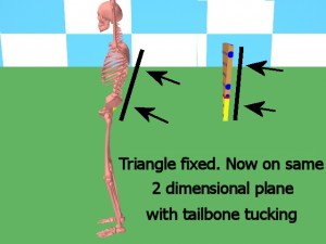 Back_One_Big_Muscle-TriangleBackSamePlane