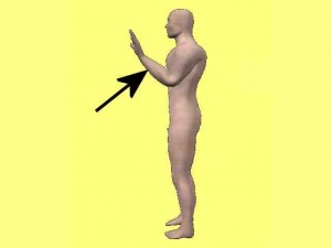 Kung_Fu_Circular_Power_01-LowerArmRaisedStraightForce