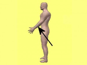 Kung_Fu_Circular_Power_01-LowerArmStraightForce