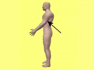Kung_Fu_Circular_Power_01-UpperArmInPosition