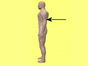 Kung_Fu_Circular_Power_01-UpperArmStraightForce