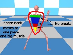 One_Reason_Tai_Chi_Slowly-EntireBackMovesOnePiece