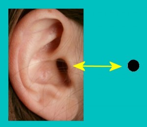 Secret_Of_Yin_Yang_Symbol_005-EarHolesAreCircular
