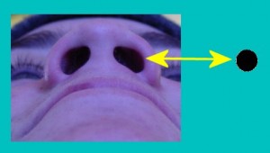 Secret_Of_Yin_Yang_Symbol_005-NostrilsAreCircular