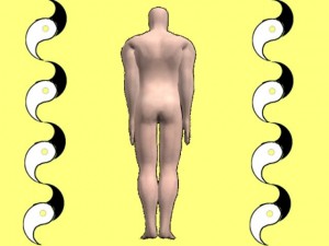 Secret_Of_Yin_Yang_Symbol_009-BodyRearVerticalYinYangWaves
