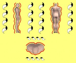Secret_Of_Yin_Yang_Symbol_009-HumanBodyWaves