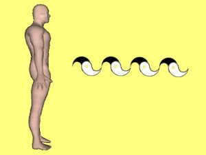 Secret_Of_Yin_Yang_Symbol_009-HumanProfileYinYangWave