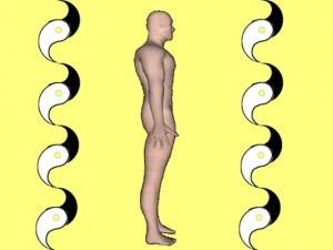 Secret_Of_Yin_Yang_Symbol_009-HumanVerticalYinYangWaves