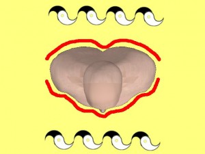 Secret_Of_Yin_Yang_Symbol_009-OverheadBodyWaveShape