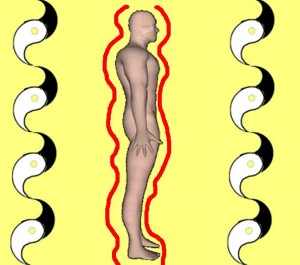 Secret_Of_Yin_Yang_Symbol_010-BodyFrontBackWavy
