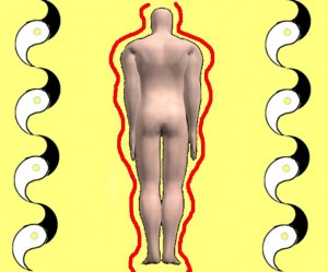 Secret_Of_Yin_Yang_Symbol_010-BodySidesWaveShaped