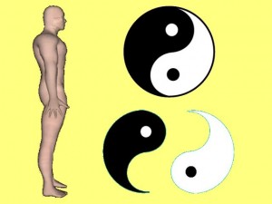 Secret_Of_Yin_Yang_Symbol_010-BodyYinYangCompare