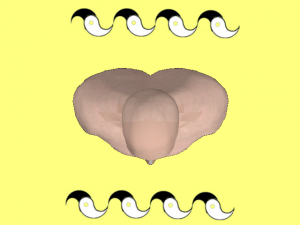 Secret_Of_Yin_Yang_Symbol_010-OverheadBodyYinYangWaves