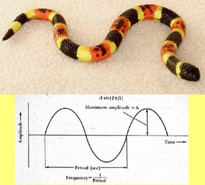 Secret_Of_Yin_Yang_Symbol_010-SnakeSineWave