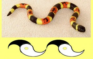 Secret_Of_Yin_Yang_Symbol_010-SnakeYinYangWave