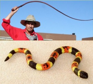 Secret_Of_Yin_Yang_Symbol_010-WhipSnake