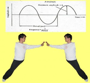 Secret_Of_Yin_Yang_Symbol_011-WaveSingleWhipMirrored