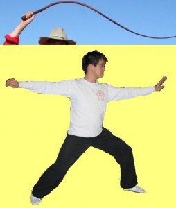 Secret_Of_Yin_Yang_Symbol_011-WhipSingleWhipCompare