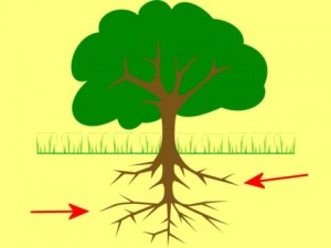 Strong_Yin_Analysis_006-TreeAndRootsDrawing