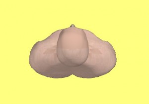 Strong_Yin_Analysis_007-ComputerModelBodyOverhead