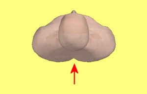 Strong_Yin_Analysis_007-HighlightBackIndentation