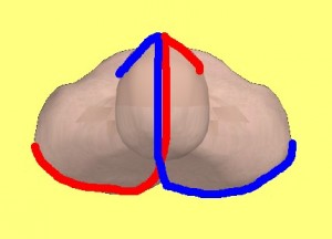 Strong_Yin_Analysis_007-YinForcePathArrows