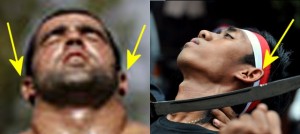 Strong_Yin_Analysis_008-EarErectWellFormed