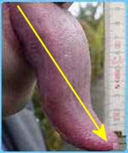 Strong_Yin_Analysis_010-HighlightLongTongueLength