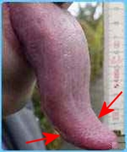 Strong_Yin_Analysis_010-HighlightLongTongueTip