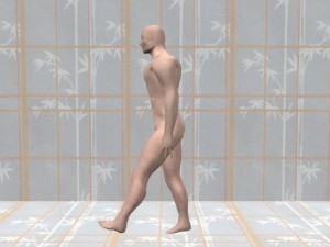 Tai_Chi_And_Walking-LeftLegExtended