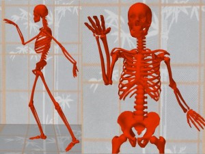 Tai_Chi_Animal-BrushKneeProfileFrontCompare