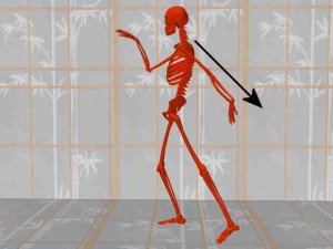 Tai_Chi_Animal-HighlightHangingArm