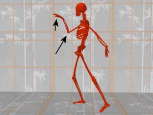 Tai_Chi_Animal-HighlightRaisedArm