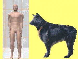 Tai_Chi_Animal-HumanBeingDogCompare