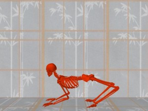 Tai_Chi_Animal-HumanSkeletonLikeAnimalSkeleton