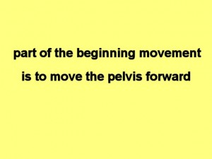 Tai_Chi_Animal-PartOfTheBeginning