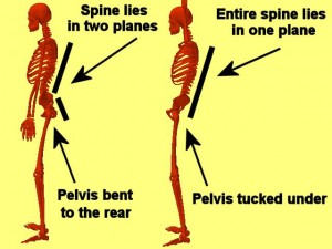 Tai_Chi_Animal-PelvisTuckCompare