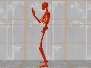 Tai_Chi_Animal-SkeletonBothArmsRaised