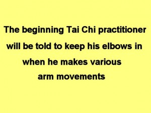 Tai_Chi_Animal-TheBeginningTaiChi