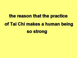 Tai_Chi_Animal-TheReasonThat