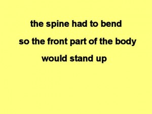 Tai_Chi_Animal-TheSpineHadToBend