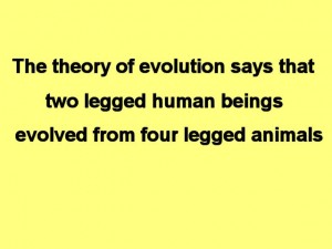 Tai_Chi_Animal-TheTheoryOfEvolution