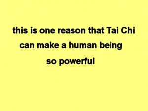 Tai_Chi_Animal-ThisIsOneReason