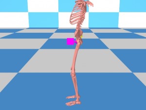 Tai_Chi_Bigger_Package-BoxRepresentsSexualOrgans