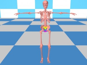 Tai_Chi_Bigger_Package-ExampleHumanSkeleton
