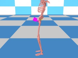Tai_Chi_Bigger_Package-PelvisForwardGenitalBoxForward