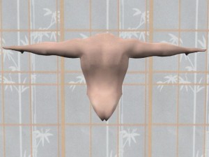 Tai_Chi_Full_Body_Power-ArmsTorsoNoHeadLegs