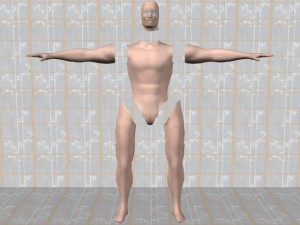 Tai_Chi_Full_Body_Power-ExtremitiesSeparatedFromTorso
