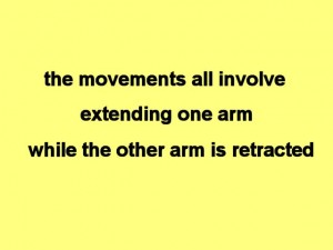 Tai_Chi_Full_Body_Power-TheMovementsAllInvolve
