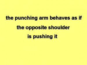 Tai_Chi_Full_Body_Power-ThePunchingArmBehaves